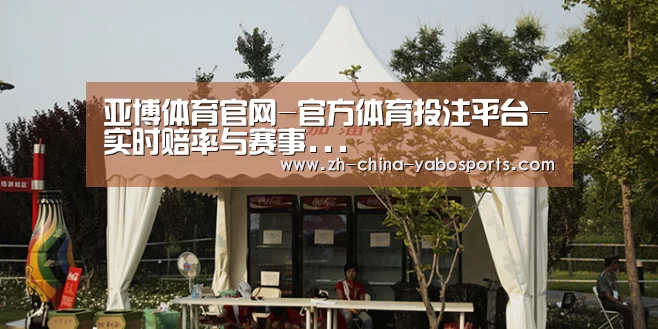 案例标题五