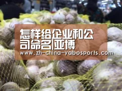 亚博体育