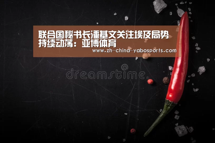 联合国秘书长潘基文关注埃及局势持续动荡:亚博体育(图1) Yabo亚博官方网站