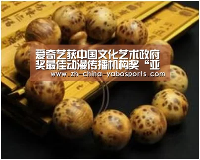 爱奇艺获中国文化艺术政府奖最佳动漫传播机构奖“亚博体育”(图1) Yabo亚博官方网站