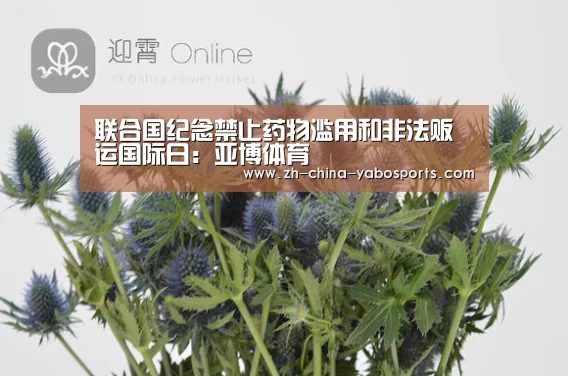 联合国纪念禁止药物滥用和非法贩运国际日:亚博体育(图3) 亚博
