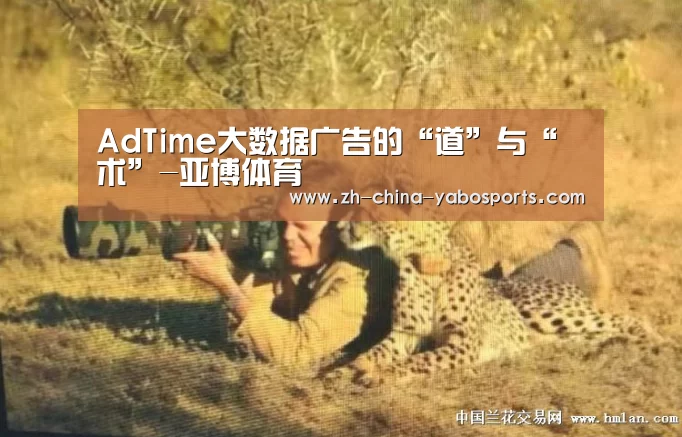 AdTime大数据广告的“道”与“术”-亚博体育(图3) Yabo亚博官方网站
