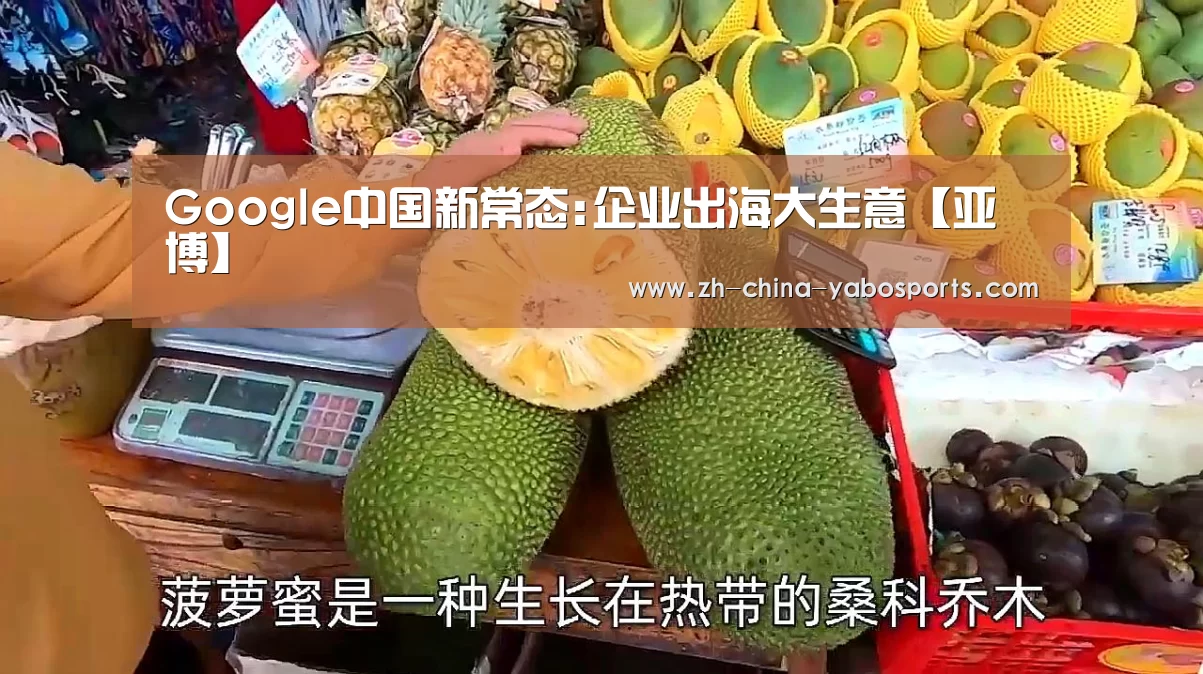Google中国新常态:企业出海大生意【亚博】(图4) 亚博